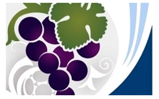 Sudamericano u20 2013 Sudamericano u20 2013