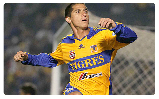 Tigres